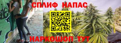 стафф Дубна