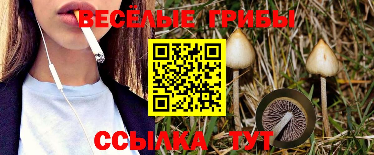 Кумертау  Псилоцибиновые грибы MAGIC MUSHROOMS  Вход с VPN  Галлюциногенные грибы Magic Shrooms 