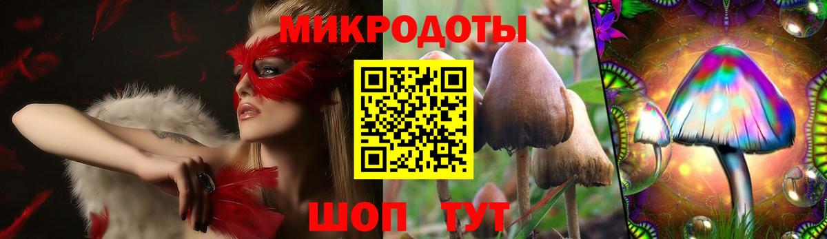 Псилоцибиновые грибы Cubensis Кумертау